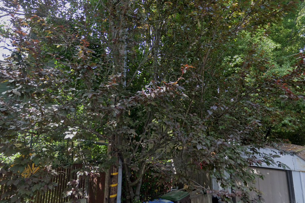 Section 8 Housing in California, Santa Cruz County - FavorHousing